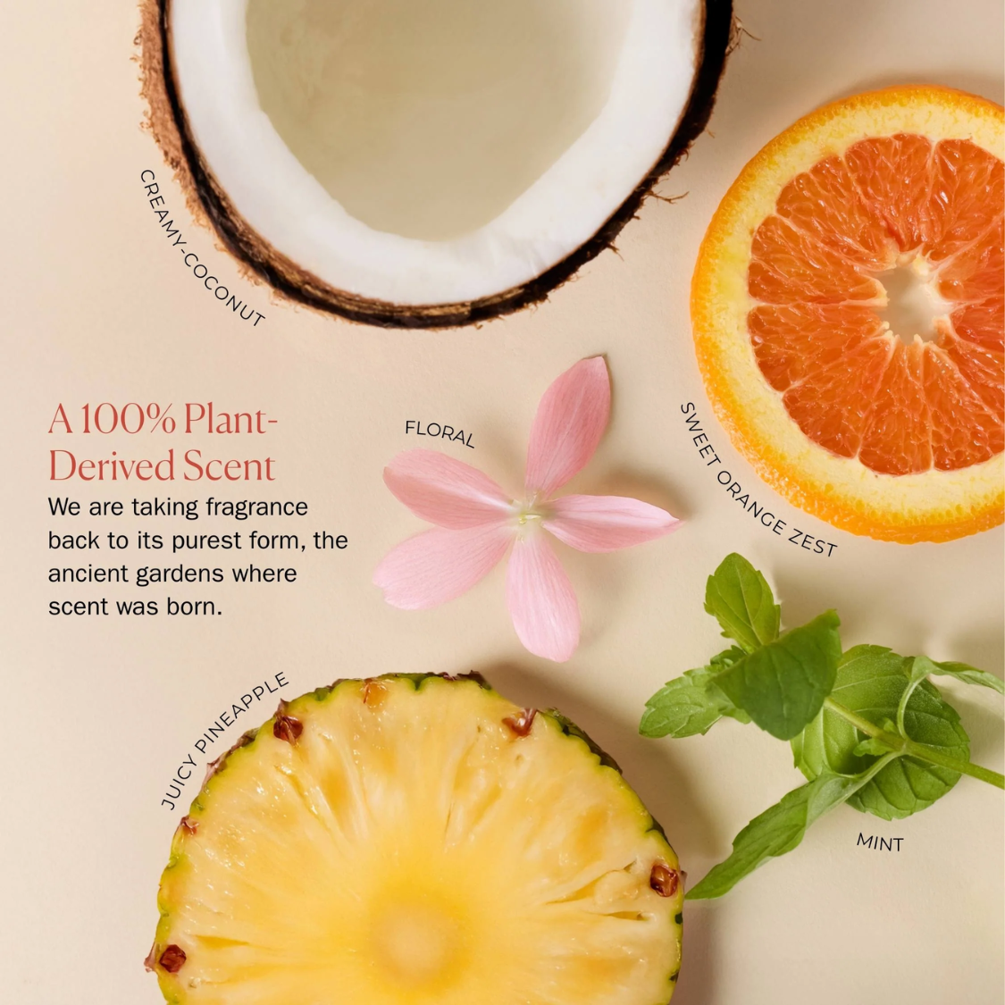 Bounce Curl | Hydra-Lite Styling Cream /237ml