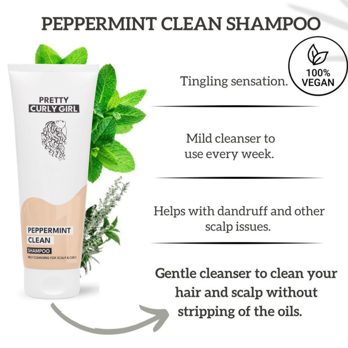 Pretty Curly Girl | Peppermint Clean Shampoo /ab 100ml Mildes Shampoo Pretty Curly Girl