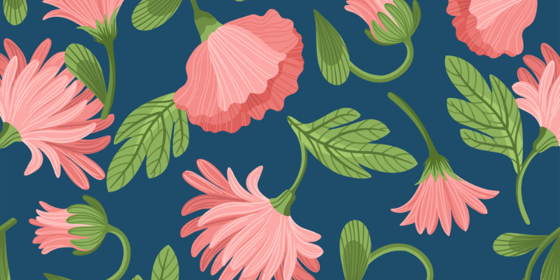 September Box 2025 - Anwendungsbeschreibung