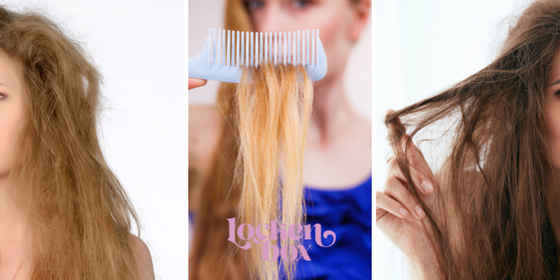 Trockenes Haar - Welches Shampoo brauche ich?